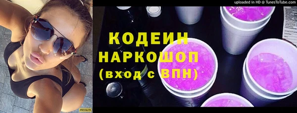2c-b Новозыбков