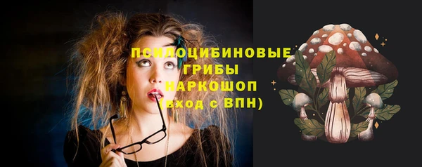 а пвп мука Новодвинск