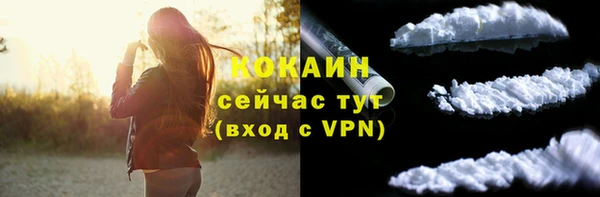 2c-b Новозыбков