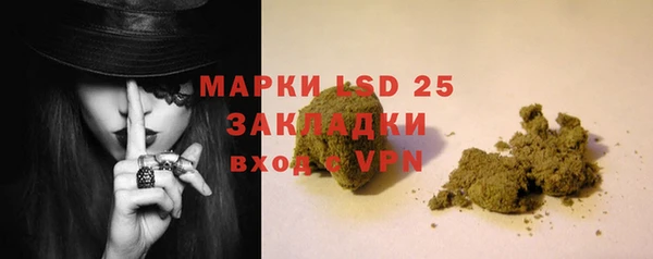 2c-b Новозыбков