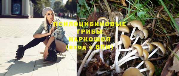 гидра Нязепетровск