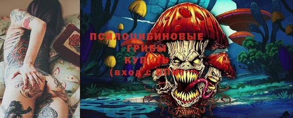 2c-b Новозыбков