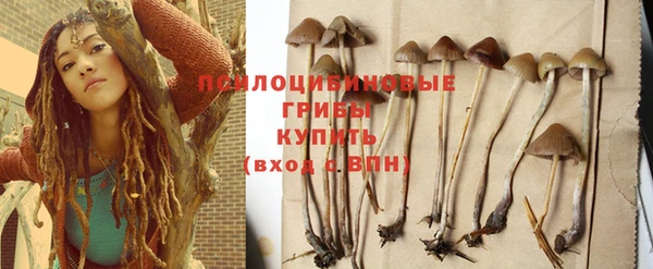 а пвп мука Новодвинск